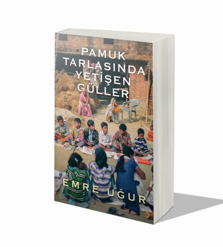 Pamuk Tarlasında Yetişen Güller