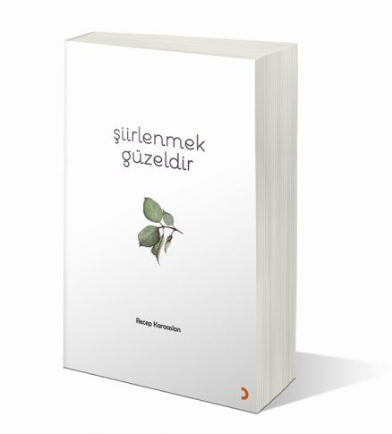 Şiirlenmek Güzeldir