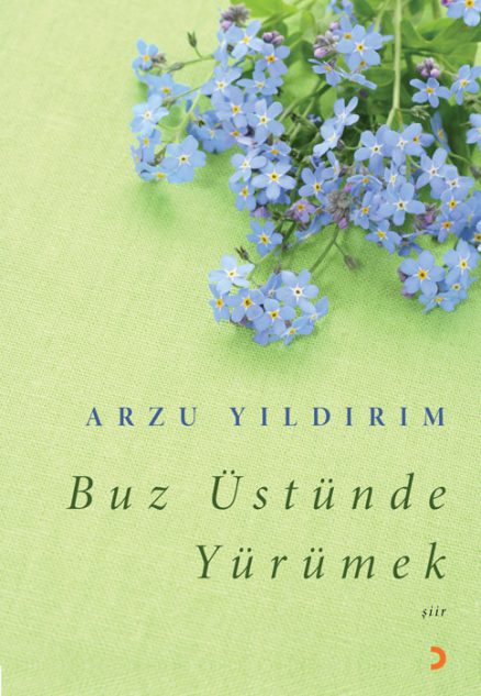 Buz Üstünde Yürümek