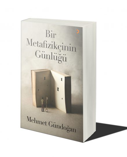 Bir Metafizikçinin Günlüğü