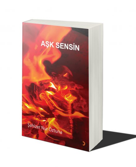 Aşk Sensin