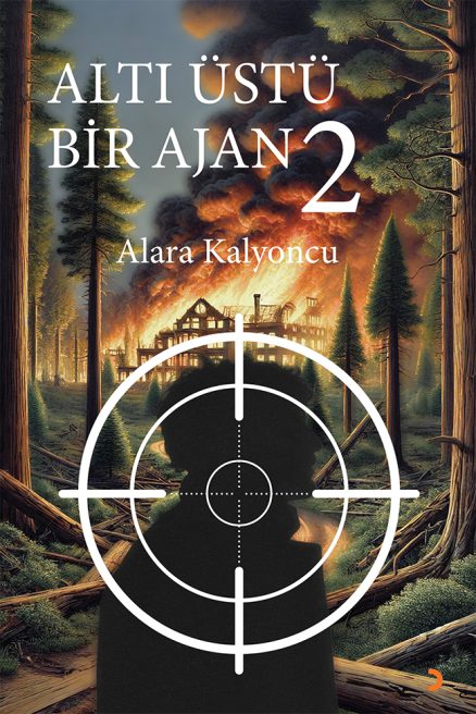 Altı Üstü Bir Ajan 2